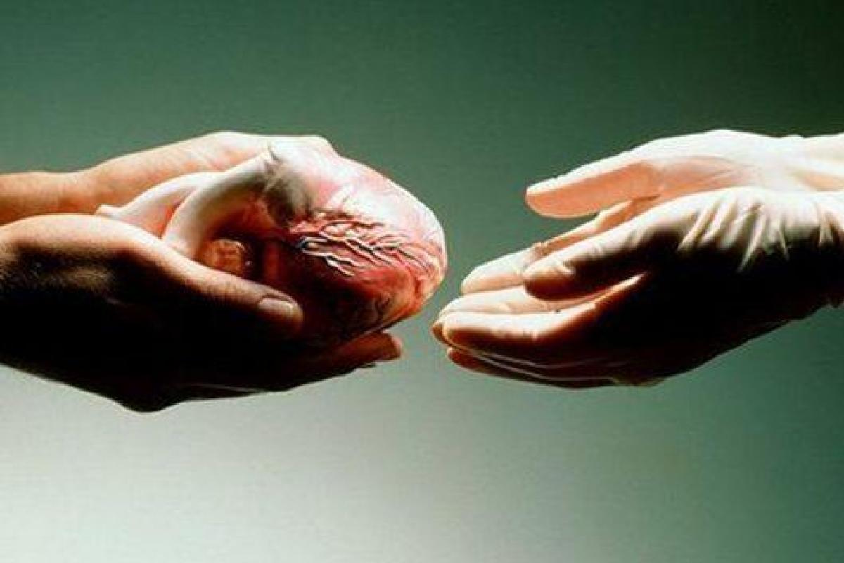 Украинка ехала в Москву, чтобы продать собственные органы: опубликовано видео