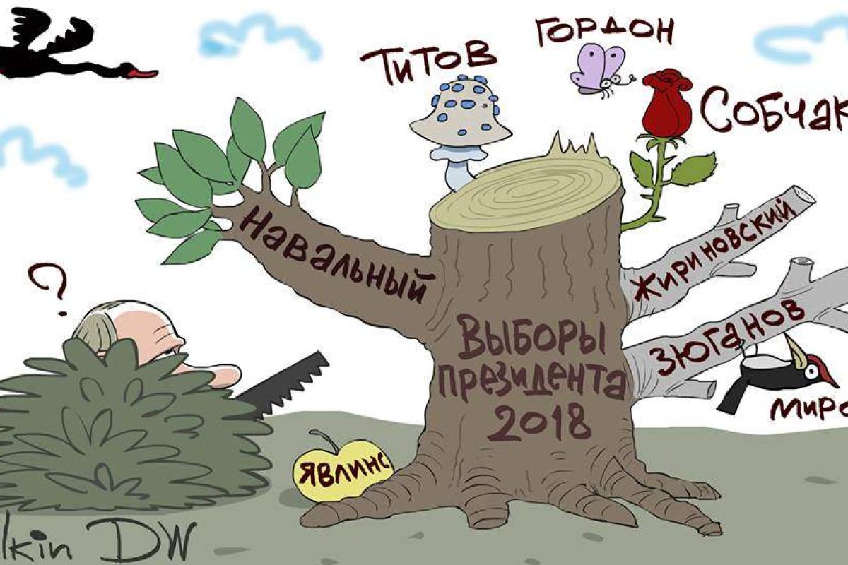 В сети появилась новая карикатура на выборы в России В сети появилась новая карикатура на выборы в России