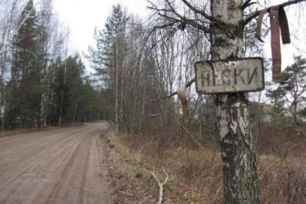 Боевики обстреляли жилой сектор в Песках Боевики обстреляли жилой сектор в Песках