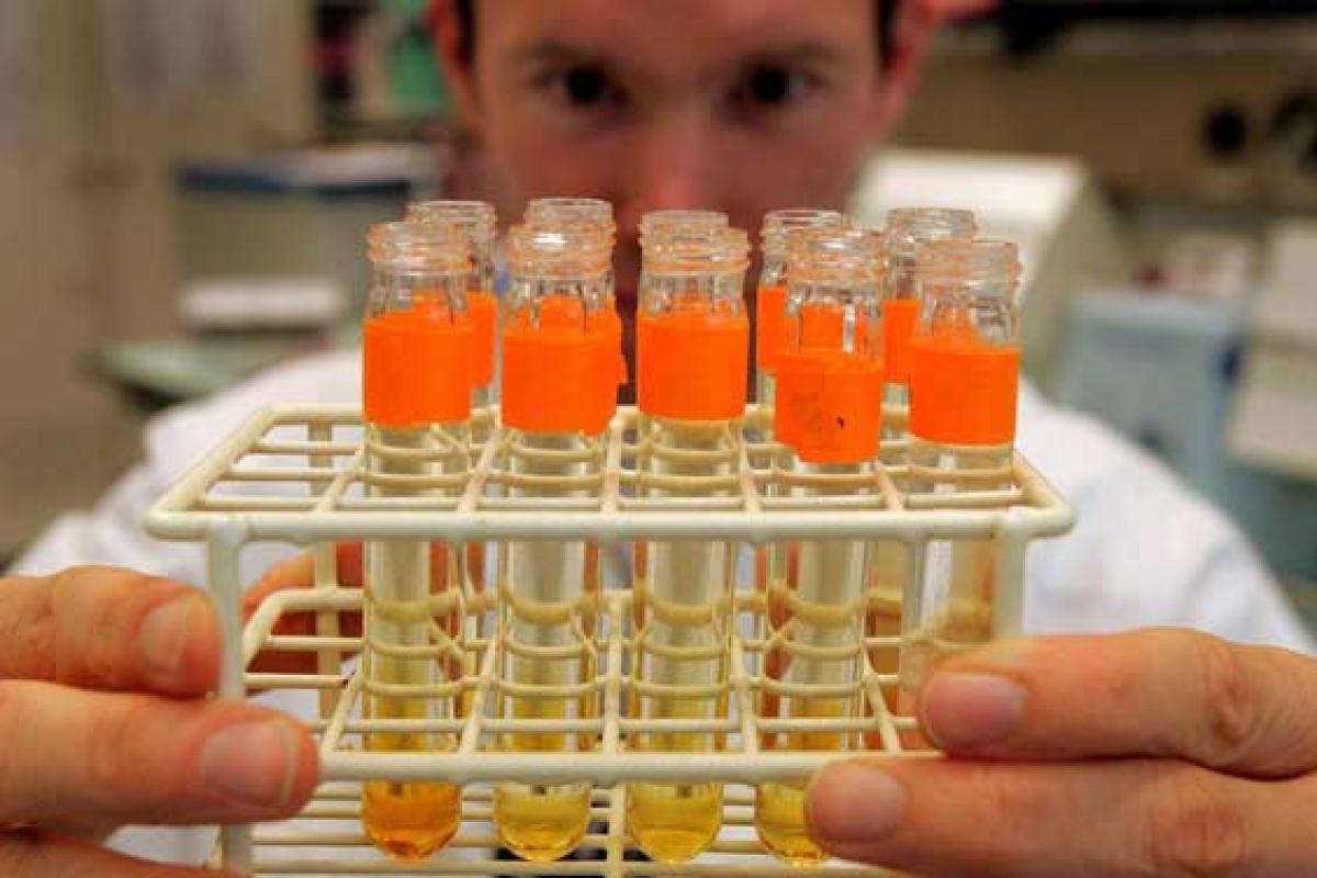 Допинговый скандал: Россия планировала подставить украинских спортсменов, проколов пробирку