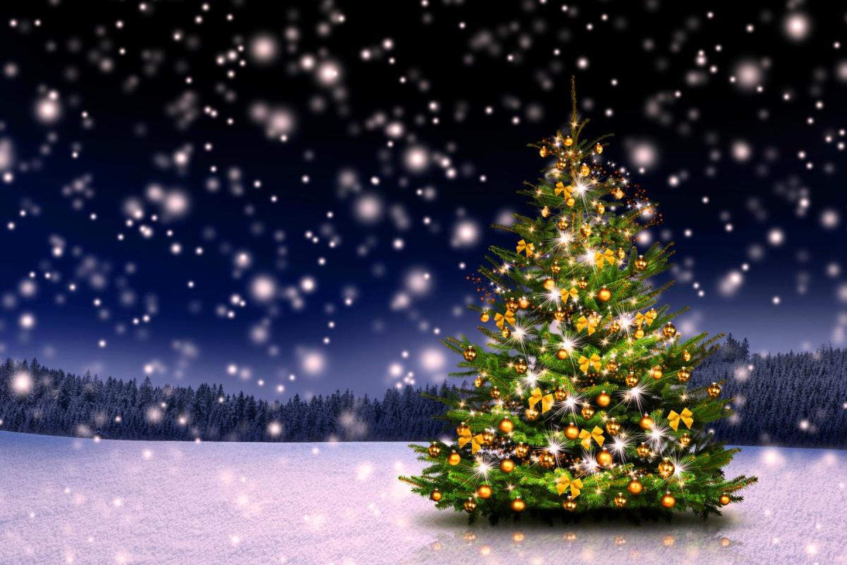 Главную елку страны украсят 3,6 км гирлянд