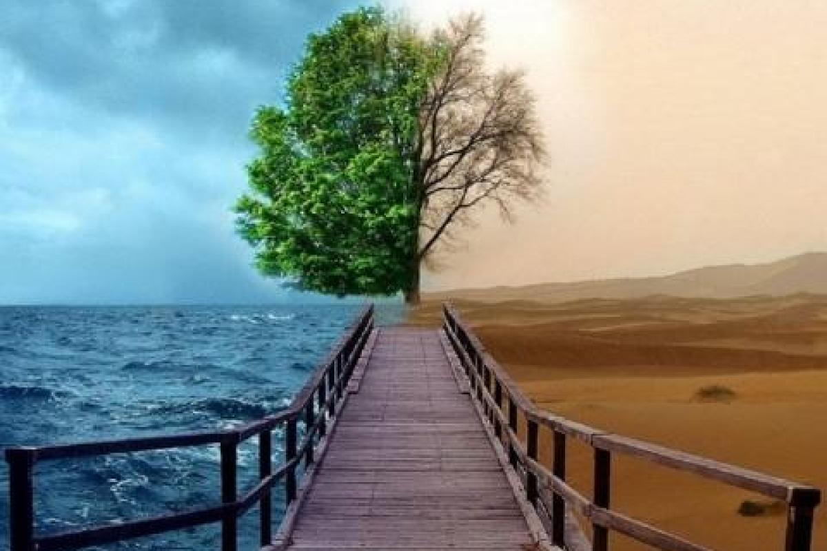 В ООН обеспокоены глобальными изменениями климата В ООН обеспокоены глобальными изменениями климата