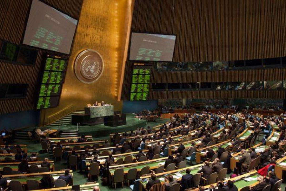 Блогер опубликовал страны, которые голосовали против резолюции ООН по Крыму