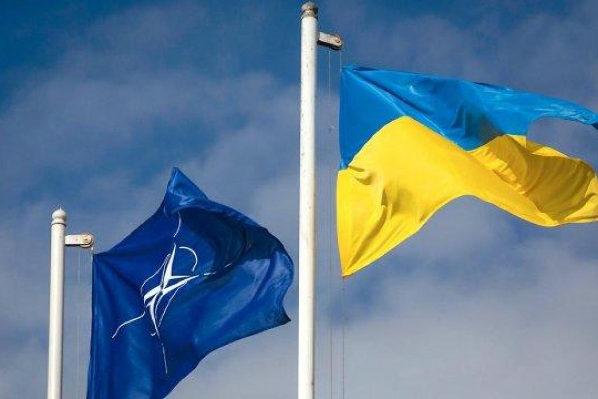 В НАТО сделали неожиданное заявление по Украине В НАТО сделали неожиданное заявление по Украине