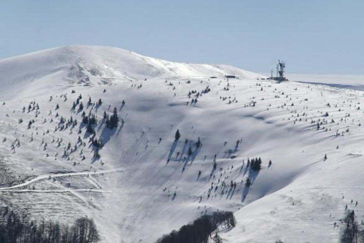 В Закарпатской области в горах сошла лавина В Закарпатской области в горах сошла лавина