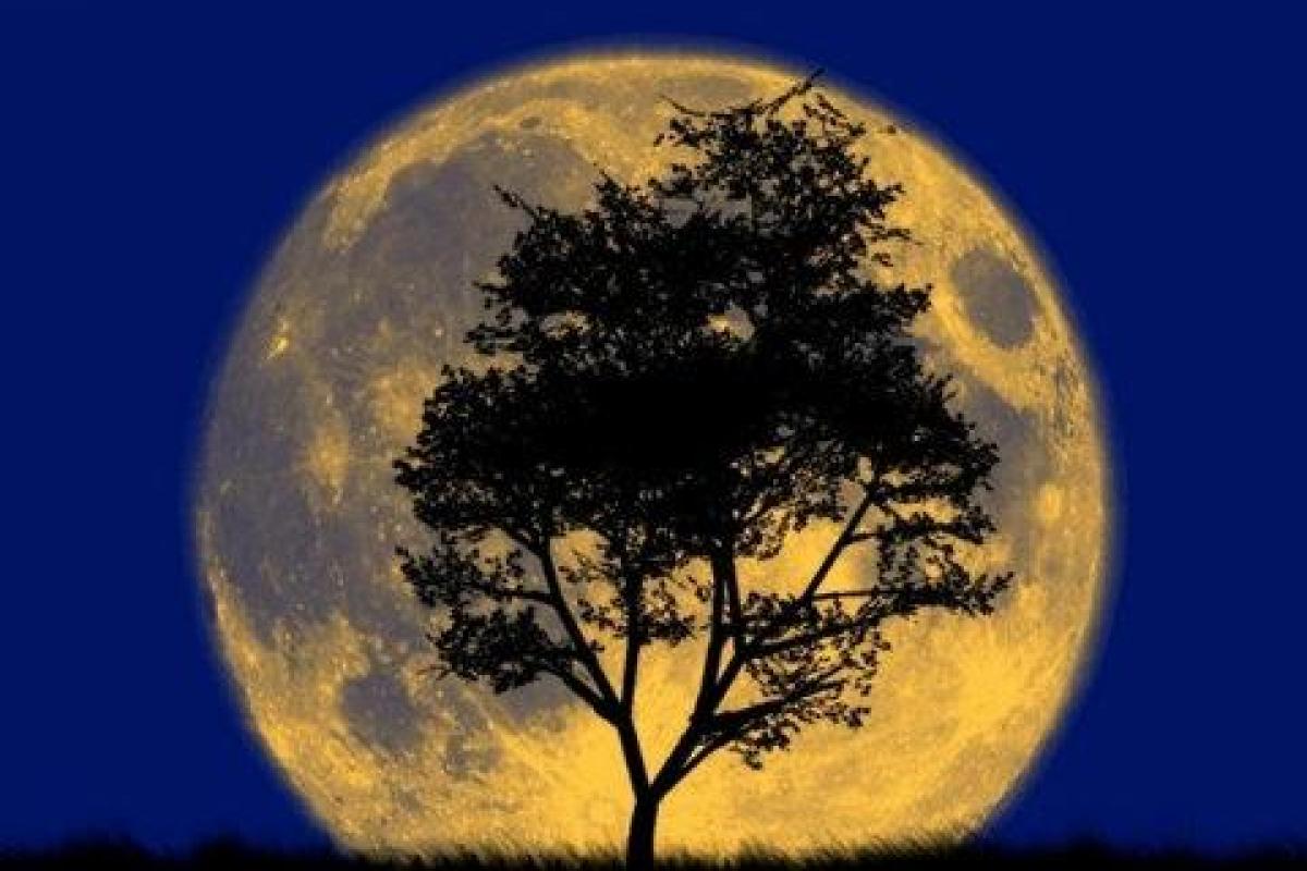 Жители Земли 1 января увидят Суперлуние Жители Земли 1 января увидят Суперлуние