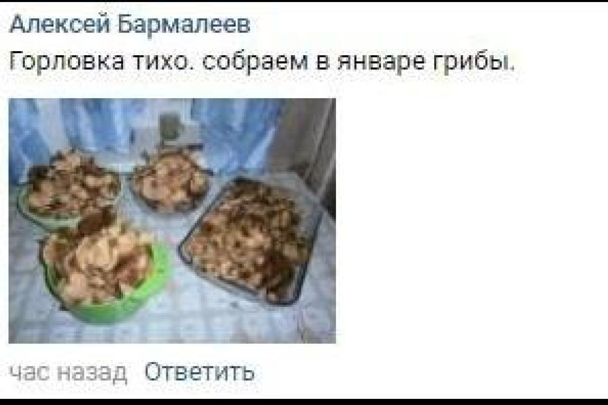 Аномальная зима: жители ОРДЛО собирают в лесу грибы, зафиксированы массовые отравления 