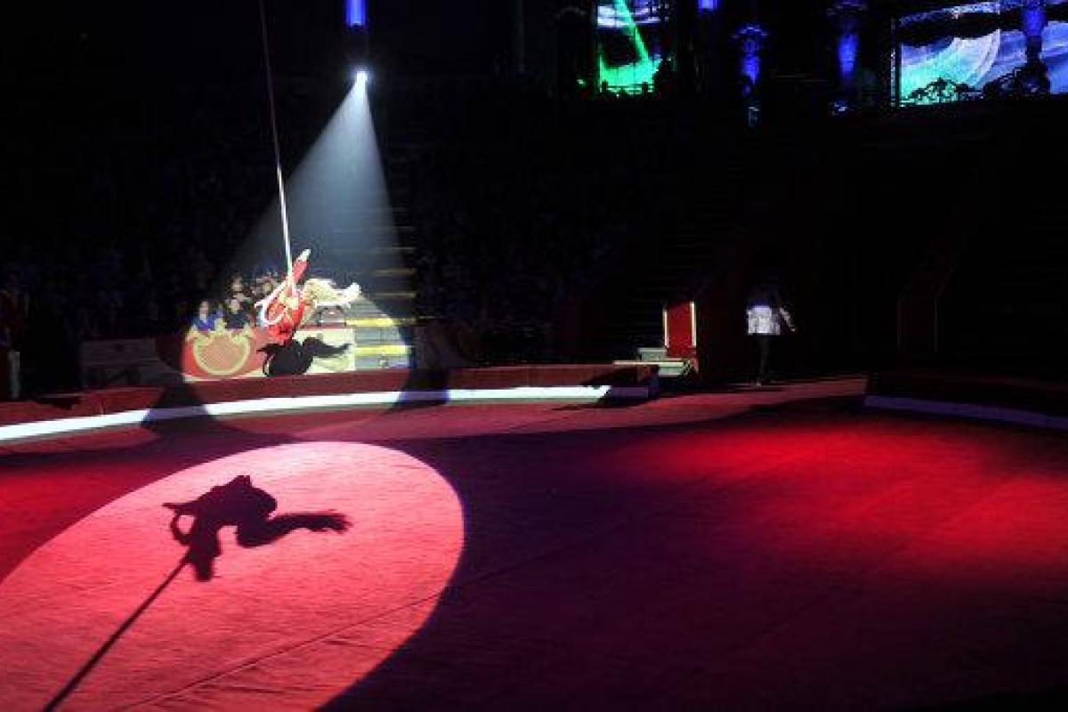 В цирке Запашного акробат упал на сцену, цирковой гимнаст введен в искусственную кому: кадры