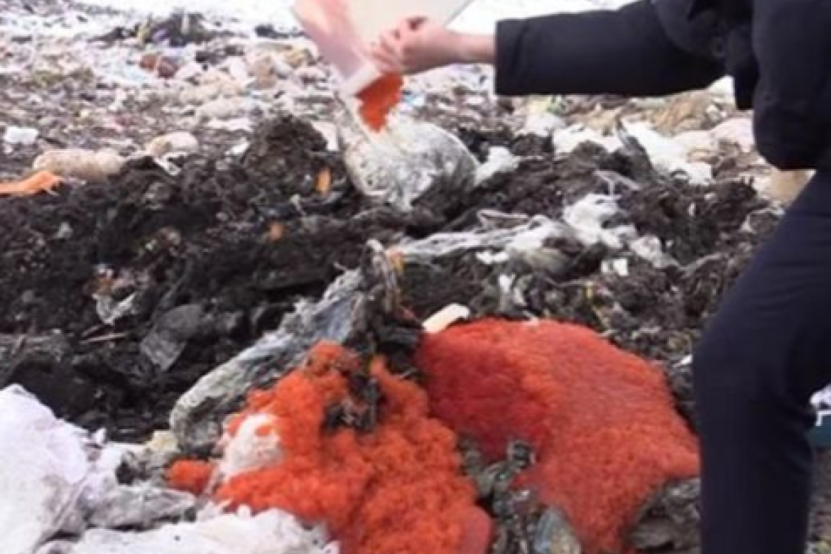 "Америка в шоке!": В сети смеются над боевиками "ЛНР", которые пустили под бульдозер 85 кг красной икры "Америка в шоке!": В сети смеются над боевиками "ЛНР", которые пустили под бульдозер 85 кг красной икры