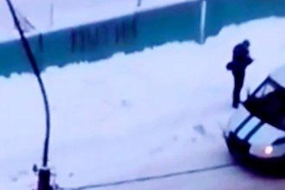 В России полицию подловили на порче заборов "в поддержку Путина" В России полицию подловили на порче заборов "в поддержку Путина"
