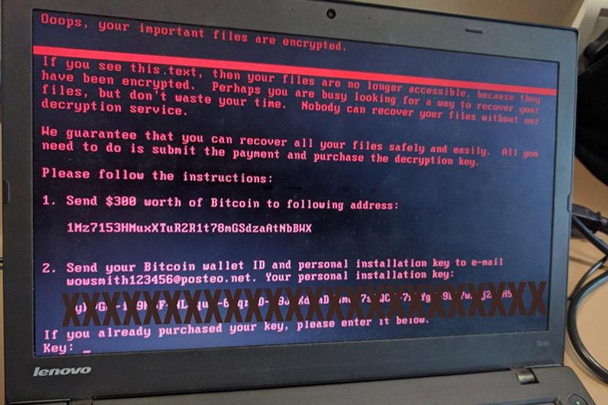 США официально обвинили Россию в организации атаки вируса "NotPetya" и пообещали ответить