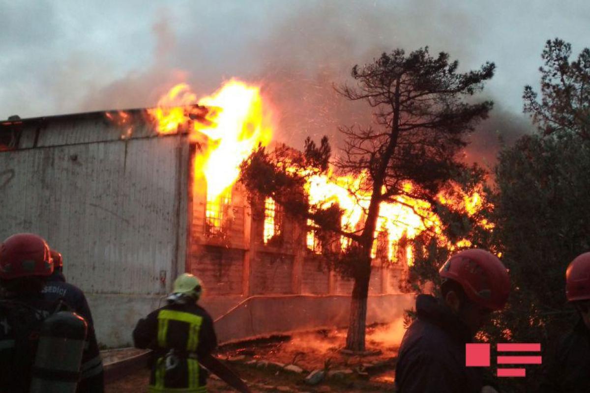 В Баку загорелся наркологический центр, погибли не менее 30 человек В Баку загорелся наркологический центр, погибли не менее 30 человек