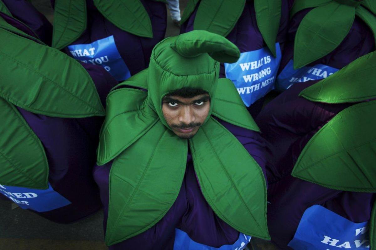 Итальянец девять лет судился из-за баклажана