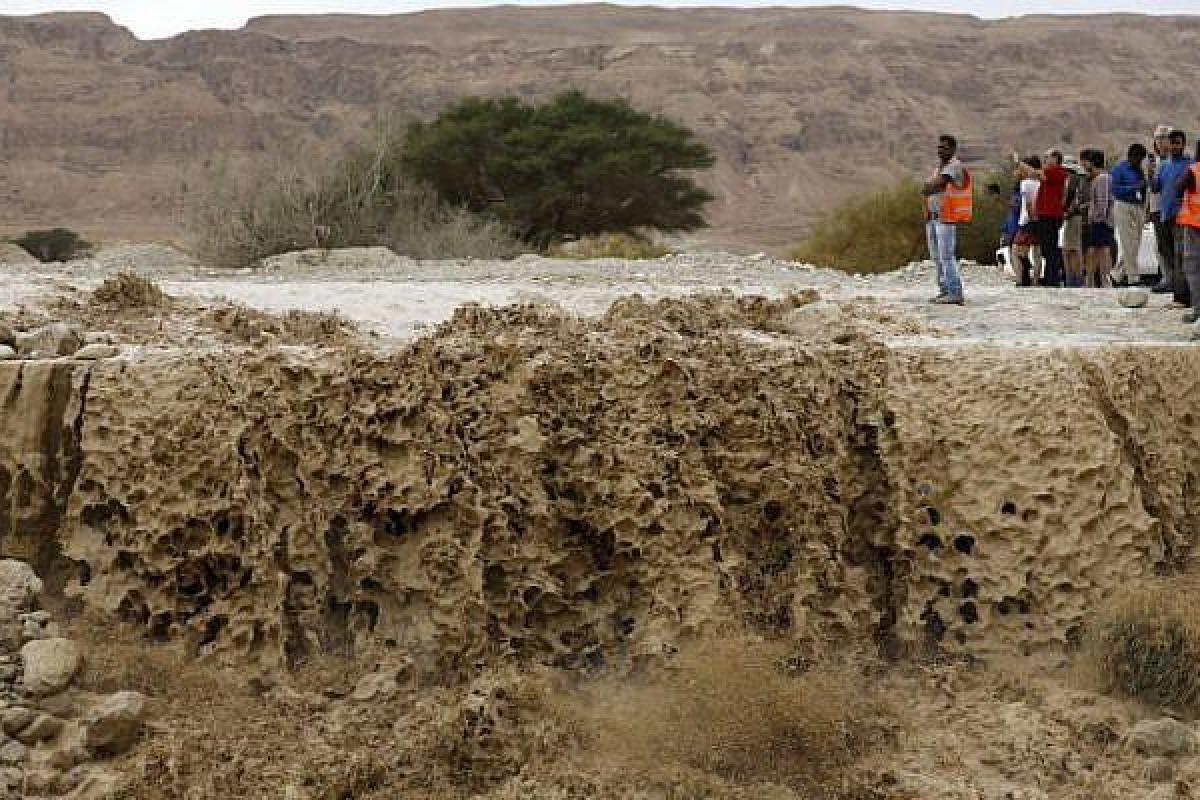 «Я серьезно, мы умрем»: Подробности гибели группы подростков во время наводнения в Израиле 