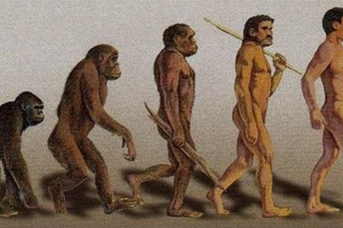 Ученые выяснили, как выглядят кроманьонцы, жившие 28 тысяч лет назад