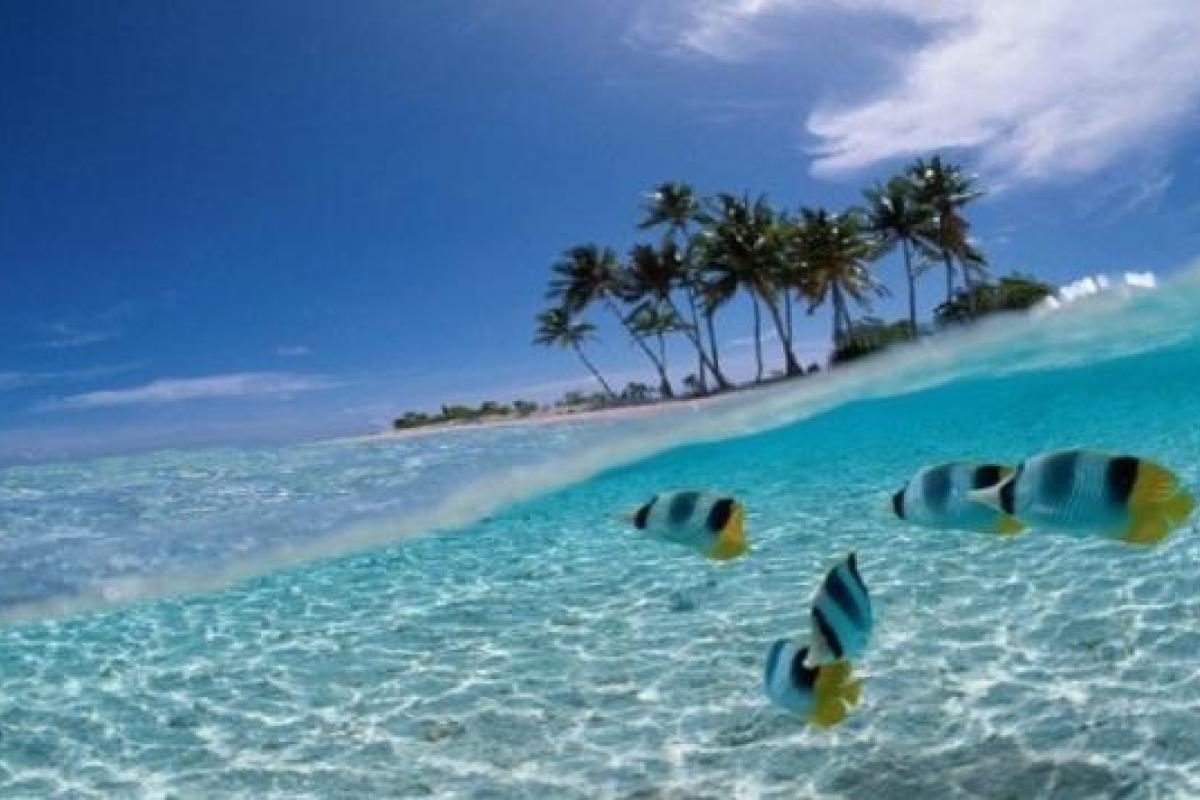 Мальчик стащил у матери кредитку и вместо школы улетел на Бали