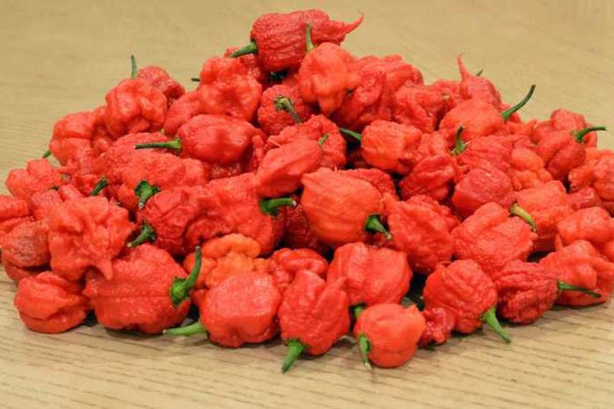 Американец чуть не умер, наевшись самого острого в мире перца