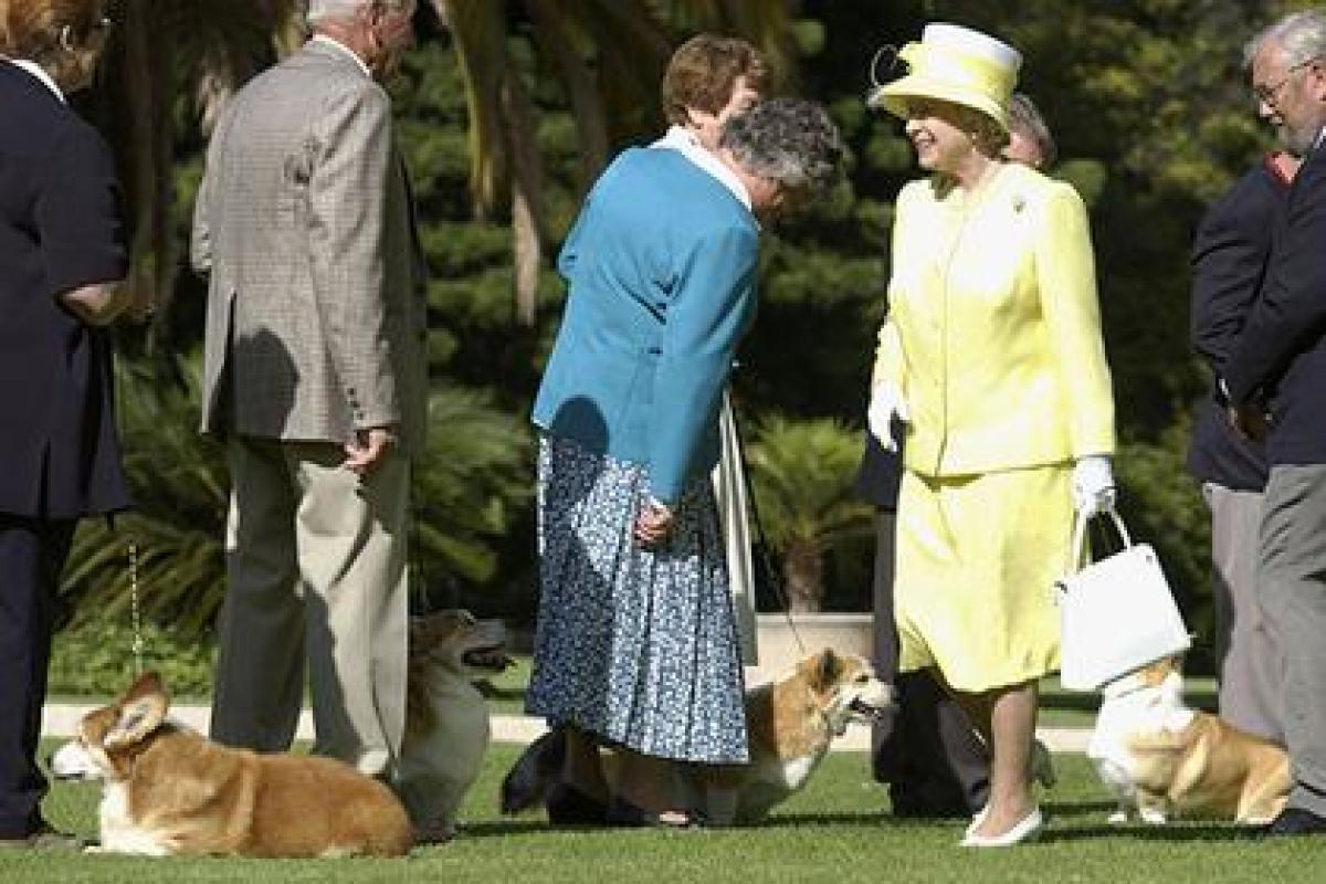 В Британии усыпили последнего корги королевы Елизаветы II