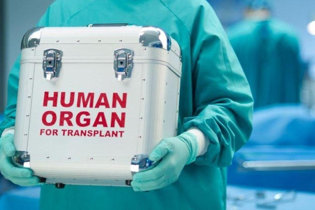 В Украине принят закон о трансплантации органов: что нужно знать украинцам о посмертном донорстве