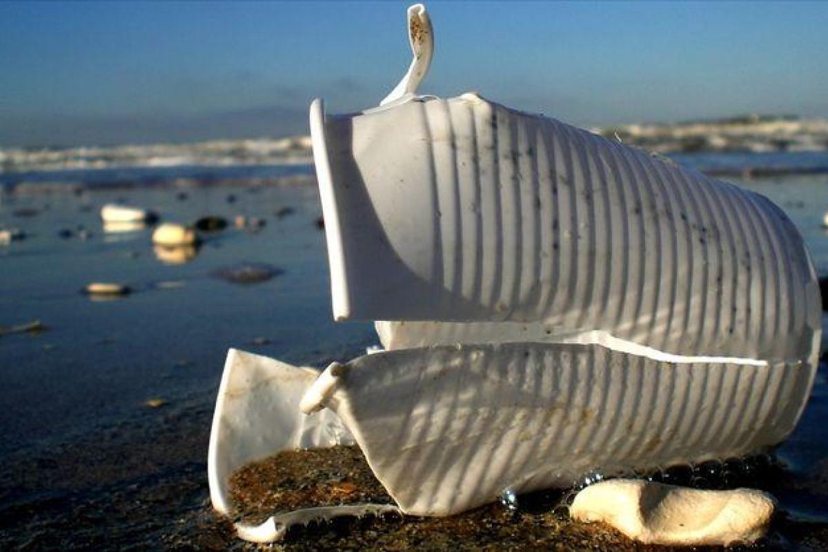 В ЕС могут запретить одноразовую посуду из пластика В ЕС могут запретить одноразовую посуду из пластика