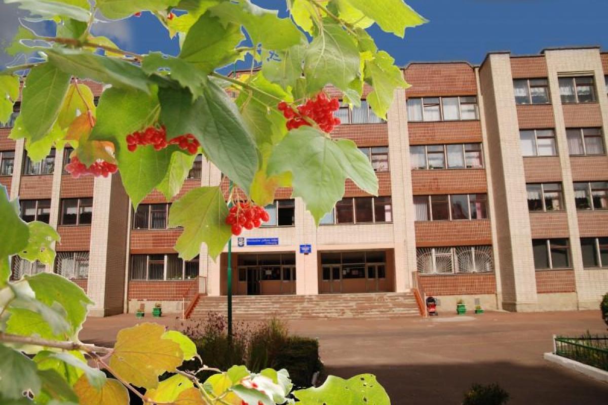 "Прощай, школа!": В Украине после 4 класса дети будут поступать в гимназию "Прощай, школа!": В Украине после 4 класса дети будут поступать в гимназию