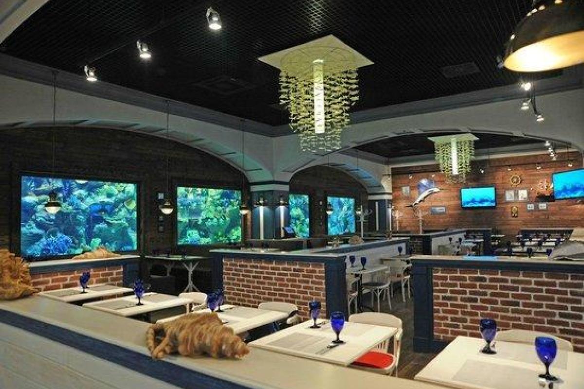 Рыбный ресторан Marlin в Киеве - изысканная кухня и уникальный интерьер Рыбный ресторан Marlin в Киеве - изысканная кухня и уникальный интерьер