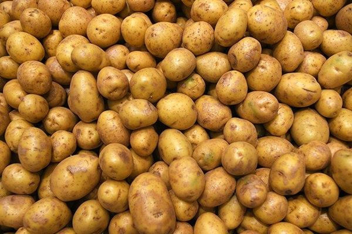 В Британии мужчина перебрал с наркотиками и принимал ванну с картофелем в женском белье