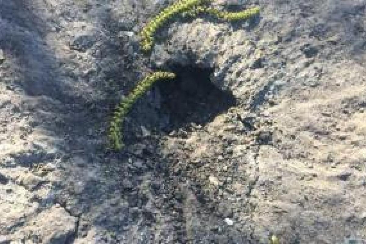 Боевики обстреляли Марьинку Боевики обстреляли Марьинку