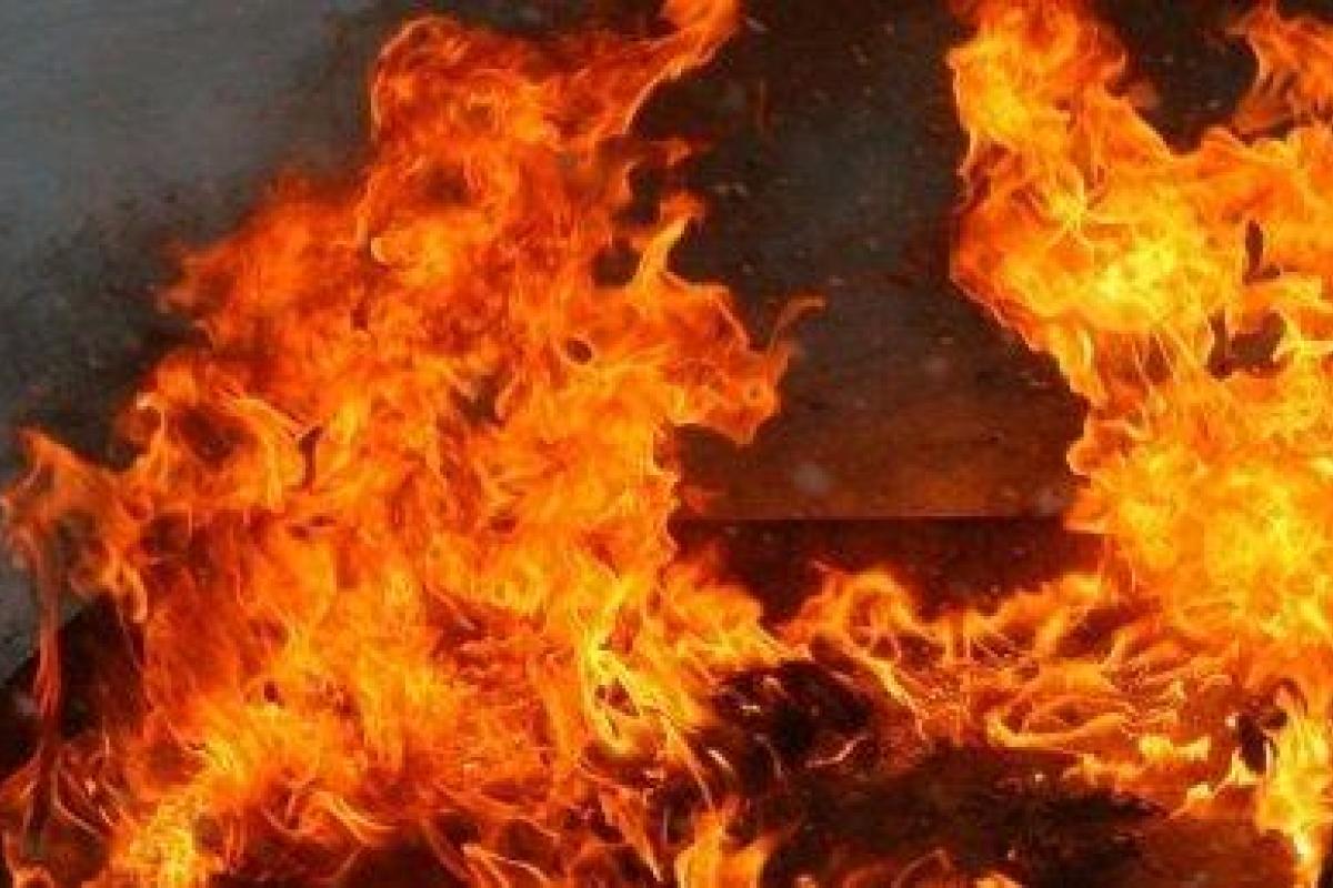 Пожар в Запорожской области: погибло два человека Пожар в Запорожской области: погибло два человека