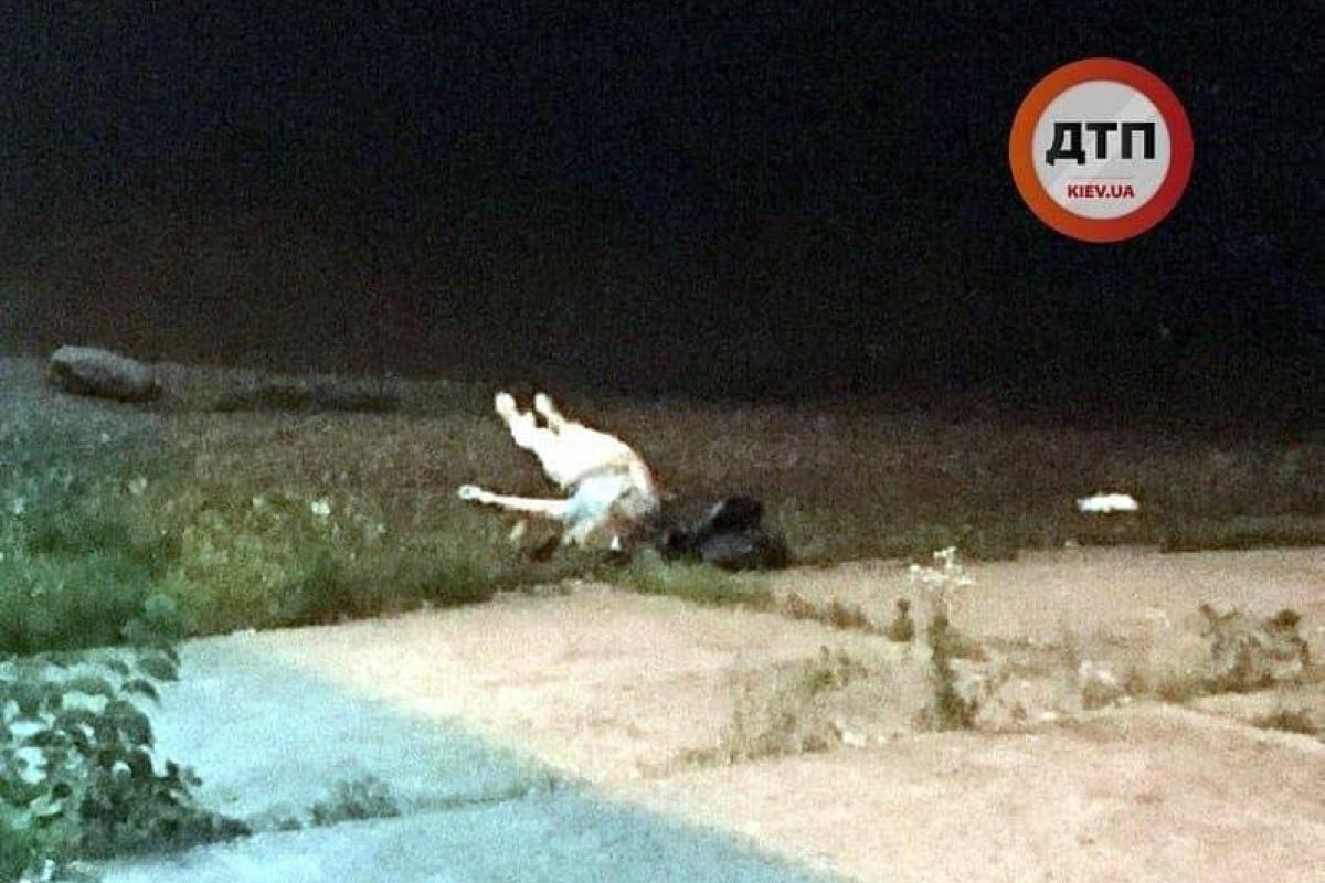 В киевском Гидропарке обнаружен труп женщины В киевском Гидропарке обнаружен труп женщины