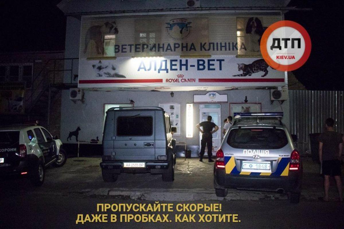 В Киеве ножом порезали лицо и избили огнетушителем работницу ветклиники
