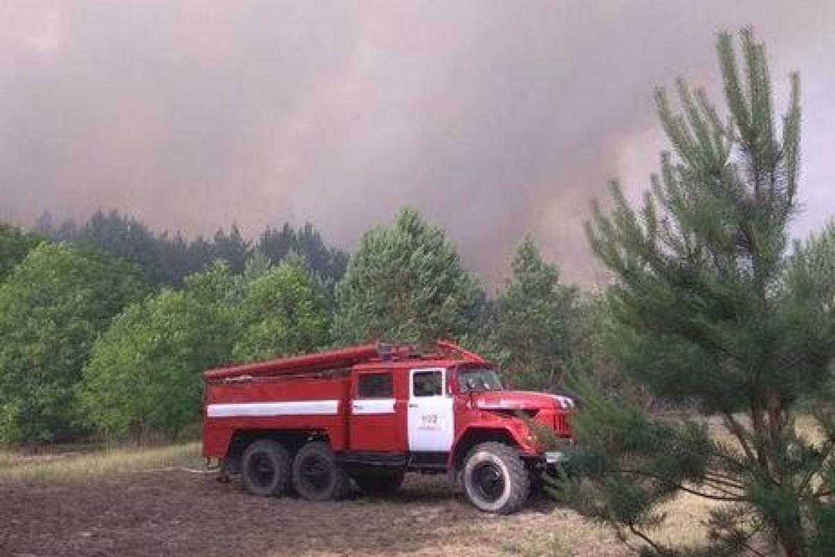 В Чернобыльской зоне возник новый пожар В Чернобыльской зоне возник новый пожар