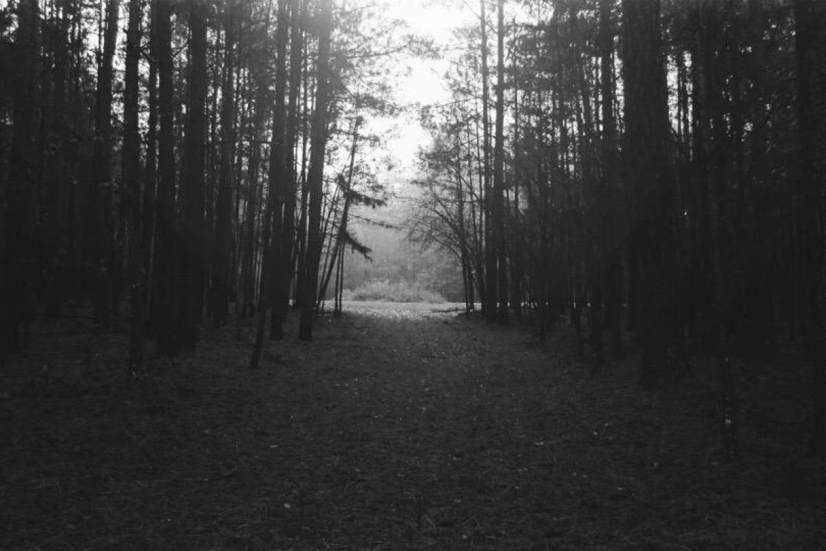 В России педофил изнасиловал десятилетнюю и оставил тысячу рублей