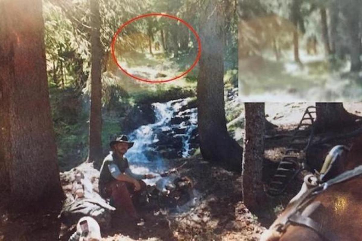 В США обнародовали уникальное фото: в кадр случайно попал снежный человек В США обнародовали уникальное фото: в кадр случайно попал снежный человек