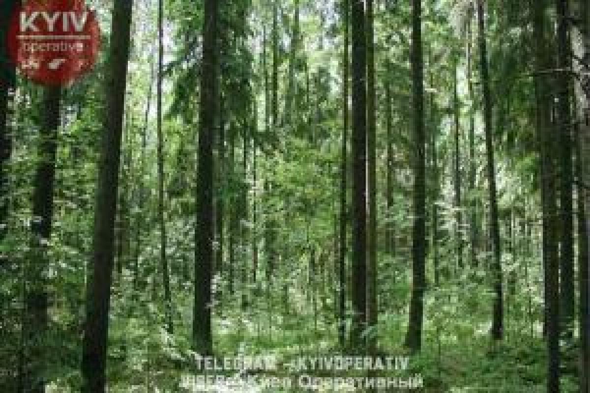 Убийство 16-летней девушки в Киеве: несовершеннолетняя стала жертвой 54-летнего насильника Убийство 16-летней девушки в Киеве: несовершеннолетняя стала жертвой 54-летнего насильника