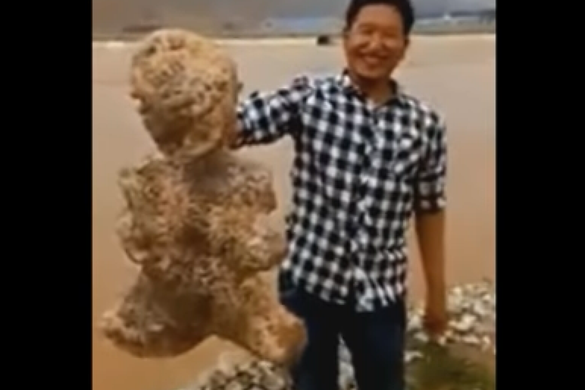 В Китае на берег моря выбросило живого гуманоида: видео В Китае на берег моря выбросило живого гуманоида: видео