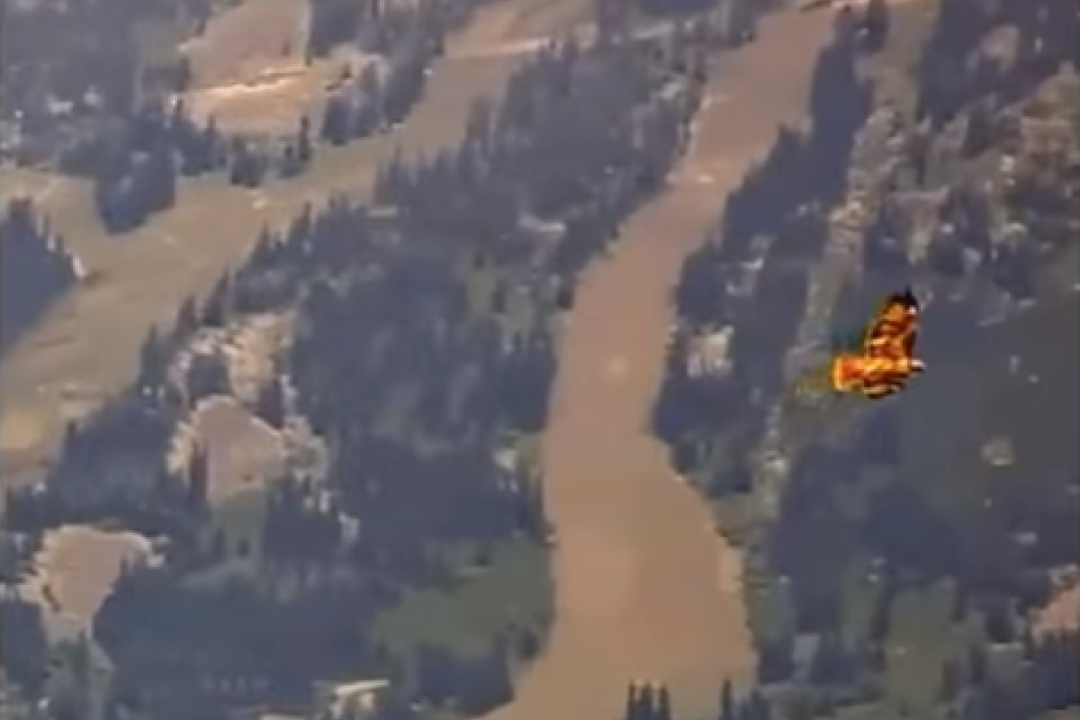 В районе Йеллоустоуна заметили "птицу феникса": видео В районе Йеллоустоуна заметили "птицу феникса": видео