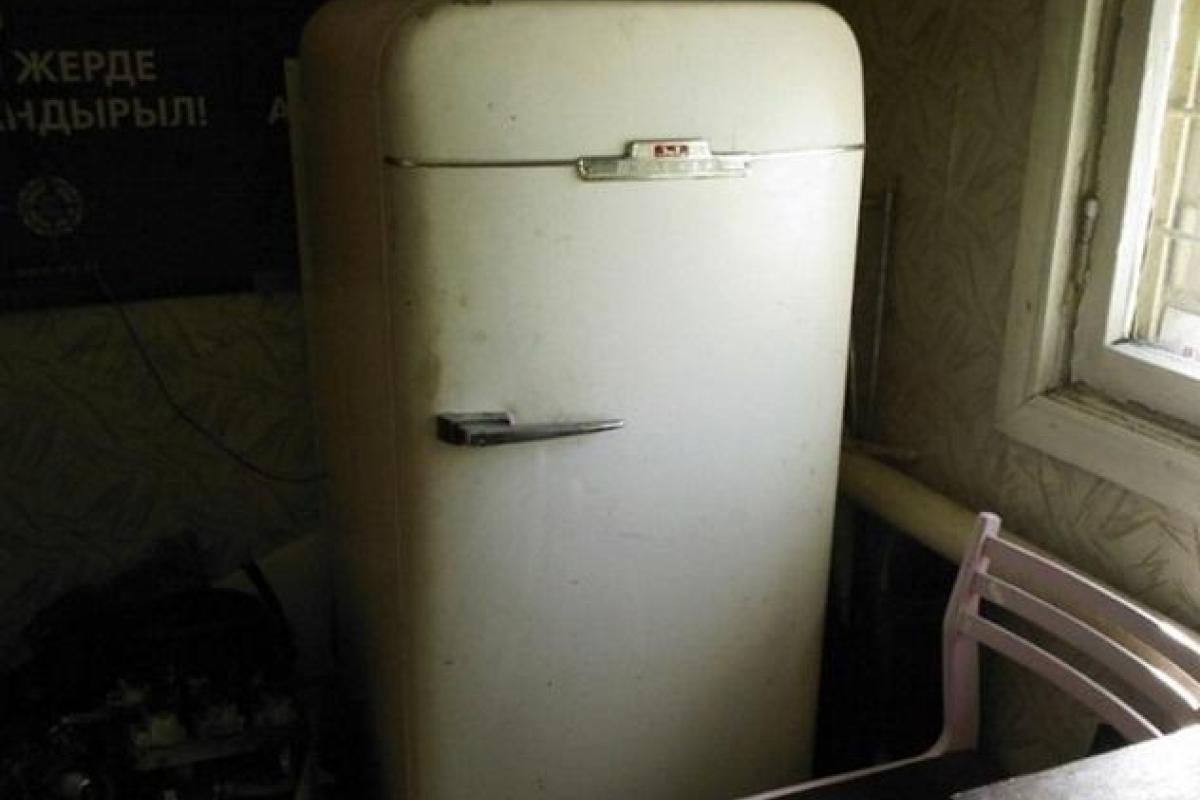 Трагедия в России: Двое малышей задохнулись в старом холодильнике