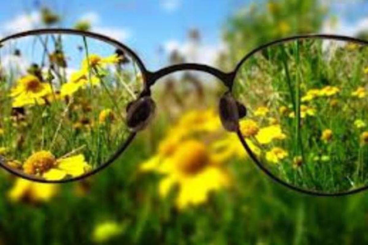 Поедание моркови не поможет улучшить зрение: Супрун развенчала популярные мифы Поедание моркови не поможет улучшить зрение: Супрун развенчала популярные мифы