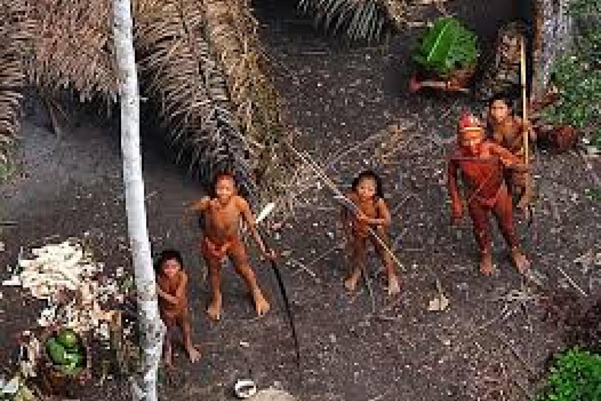 В джунглях Бразилии беспилотник обнаружил ранее неизвестное первобытное племя: видео