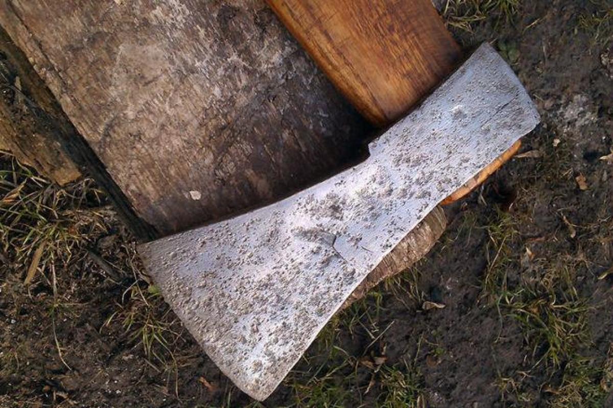 В России мужчина затопил соседей кровью, расчленяя труп своего сына