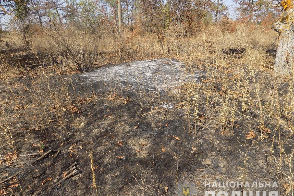 "Выгорела сухая трава, виноград не пострадал": Полиция сообщила подробности пожара на виноградниках в Шабо