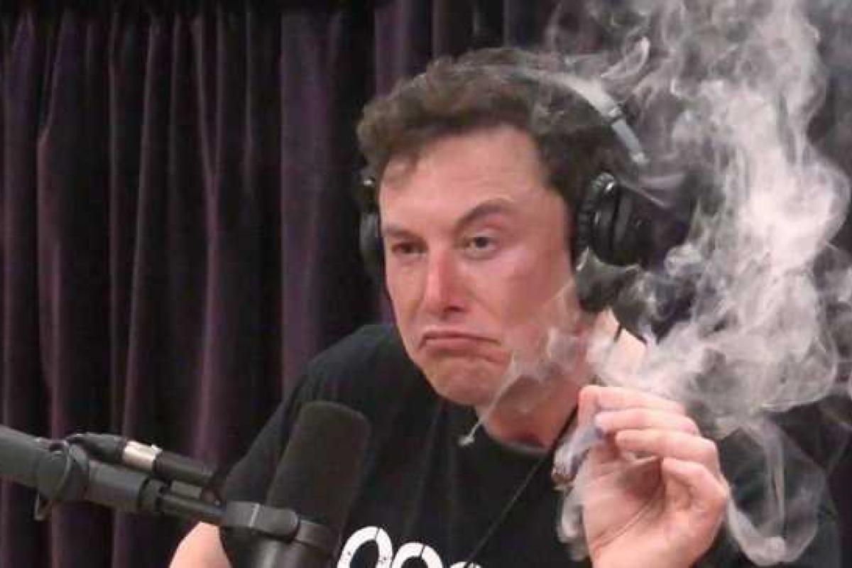 Илону Маску предложили сняться в фильмах для взрослых за 150 тысяч долларов