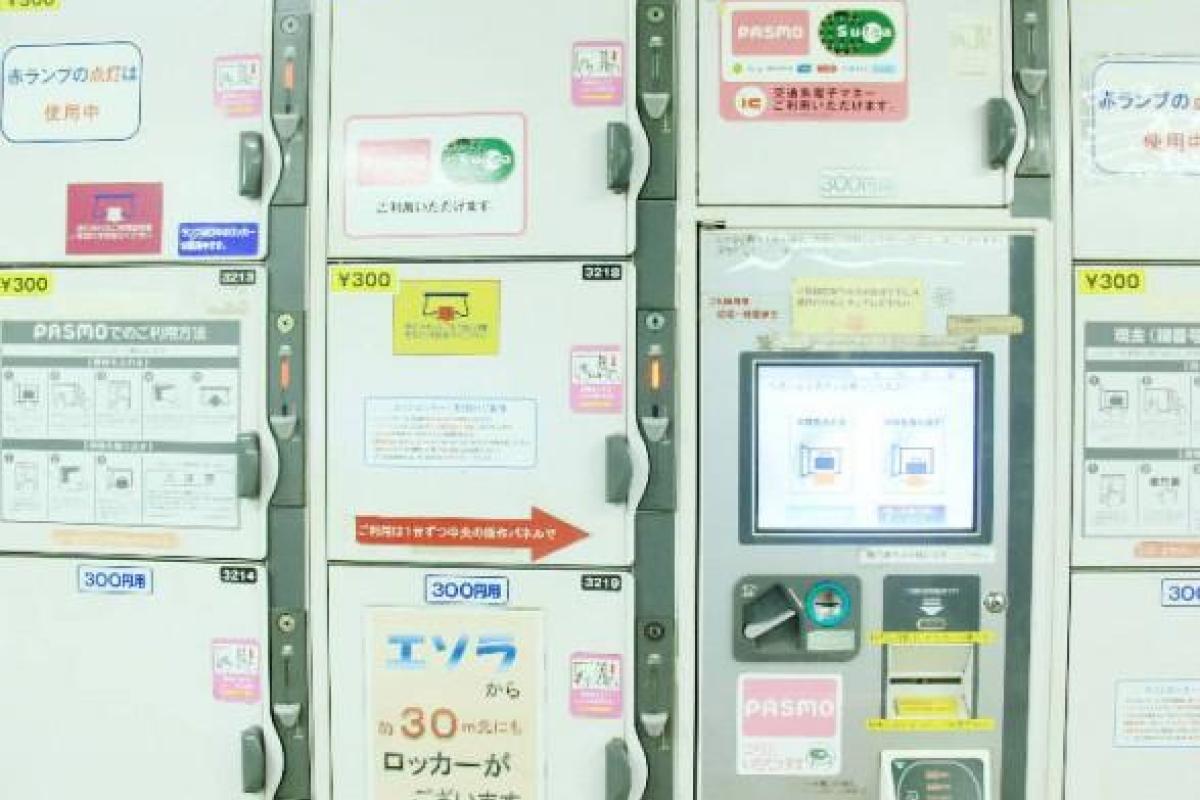 Жуткая находка: японка почти 5 лет прятала тело мертвого ребёнка в камере хранения