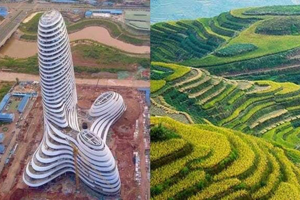 Китайский небоскреб раскритиковали за схожесть с пенисом: опубликовано видео