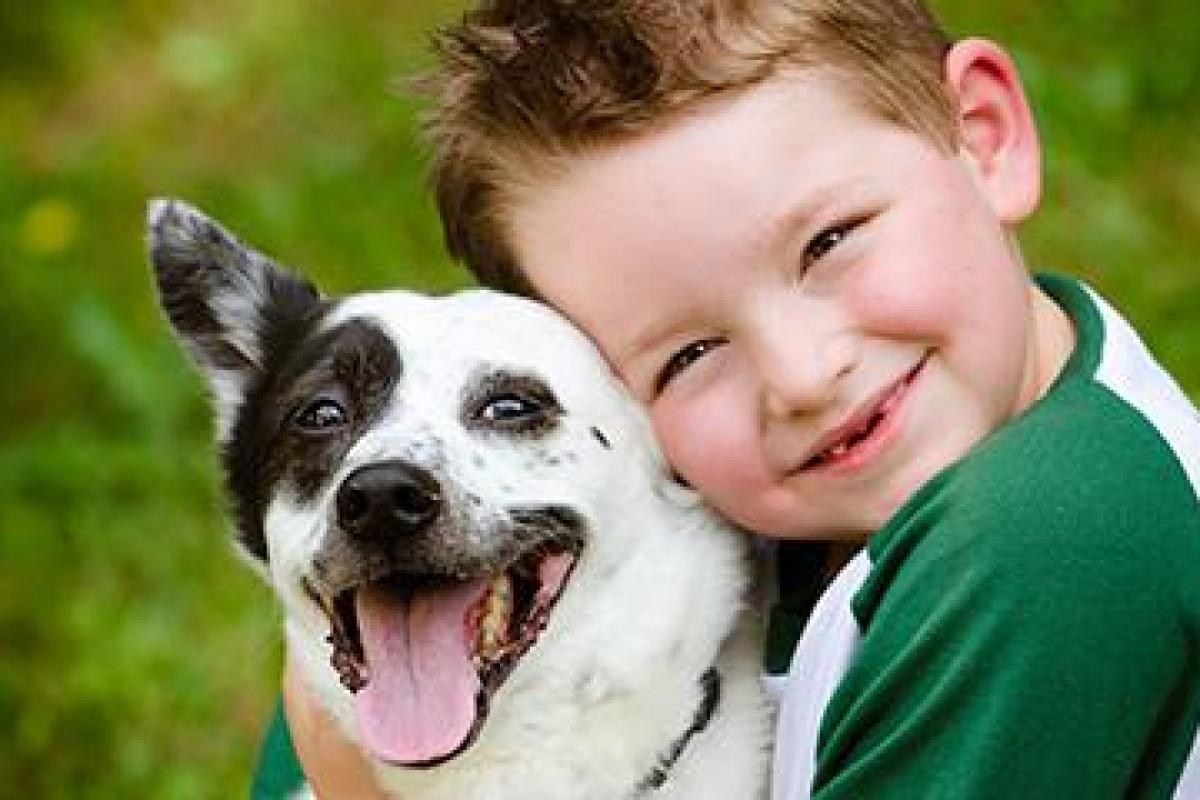Семьи с маленькими детьми: Супрун рассказала о пользе домашних животных Семьи с маленькими детьми: Супрун рассказала о пользе домашних животных