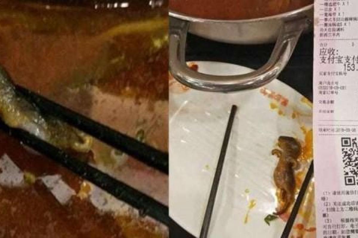 В Китае беременная женщина нашла в супе крысу, но ресторан извинился, предложив деньги на аборт 