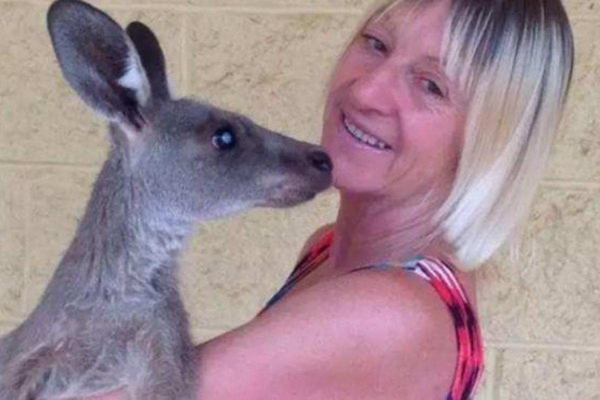 В США кенгуру избили семейную пару