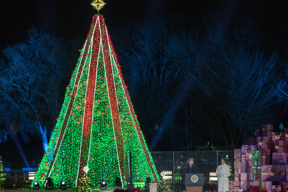Трамп зажег огни на рождественской елке перед Белым домом