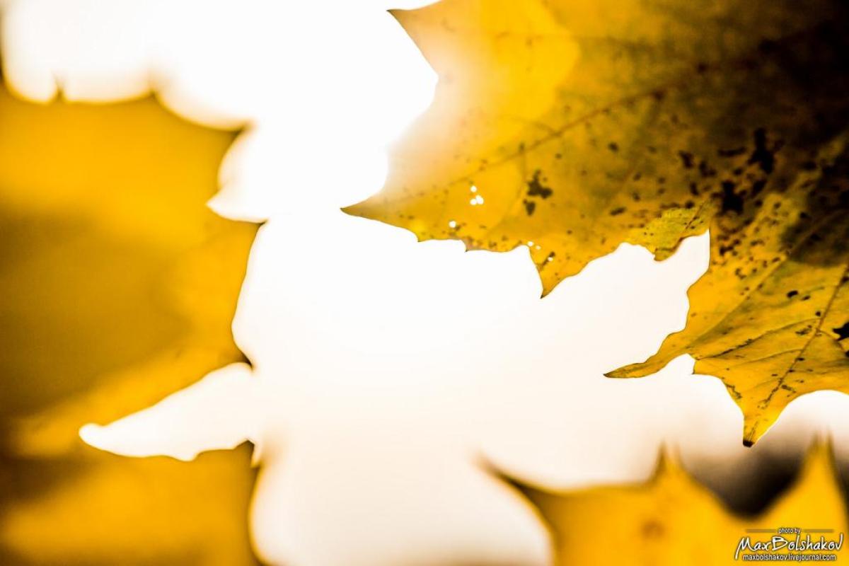 Погода на 20 ноября: серьезных осадков не ожидается Погода на 20 ноября: серьезных осадков не ожидается